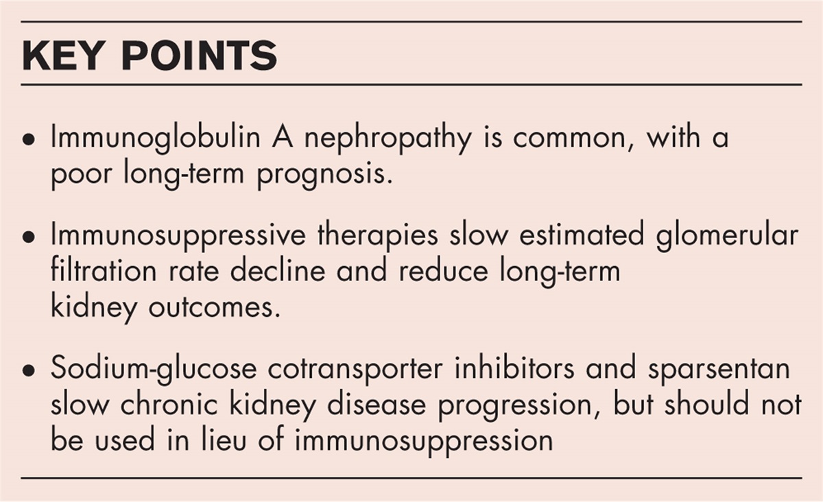 New therapies for immunoglobulin A nephropathy: what's the standard of care in 2023?