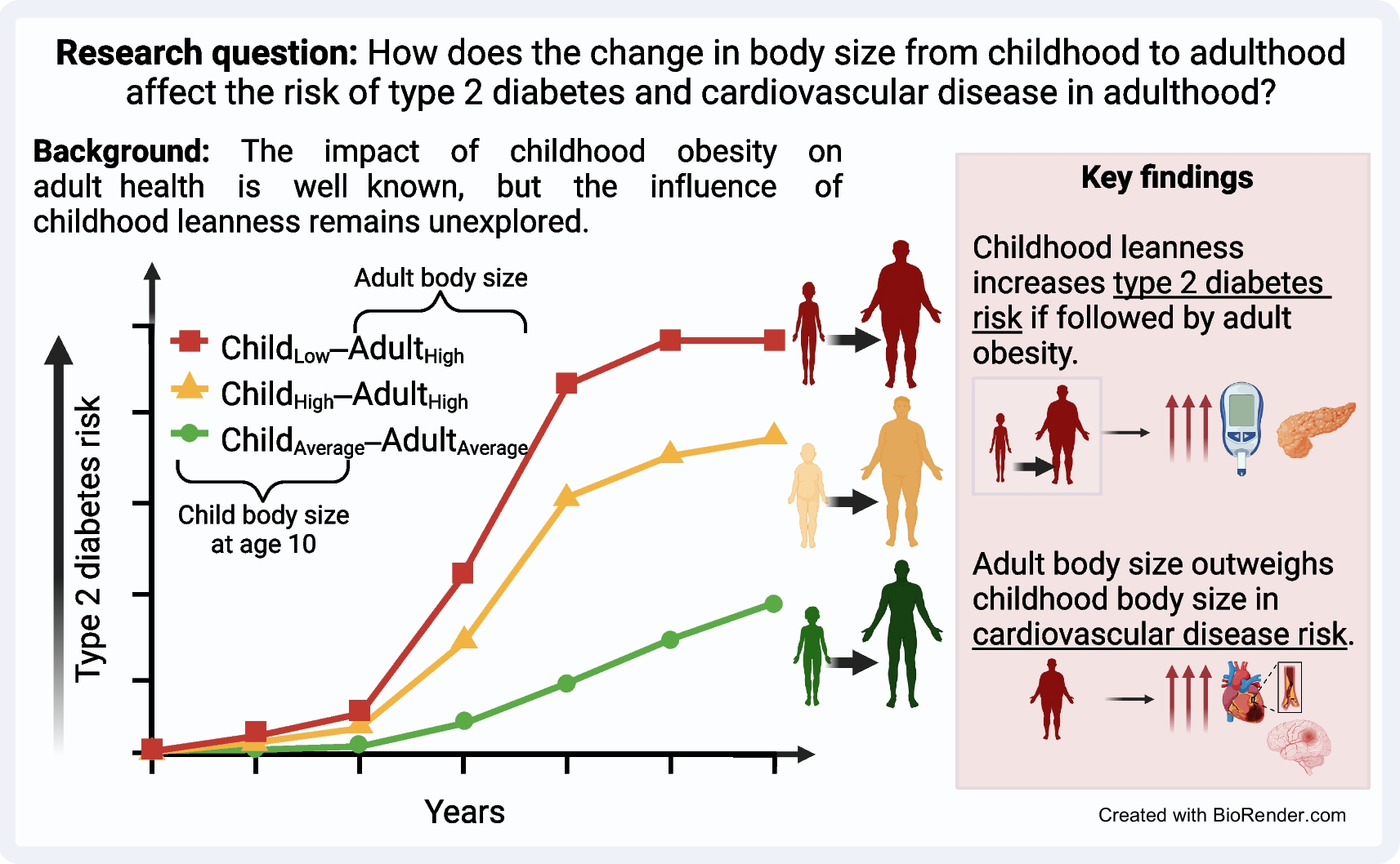 Child-to-adult body size change and risk of type 2 diabetes and cardiovascular disease