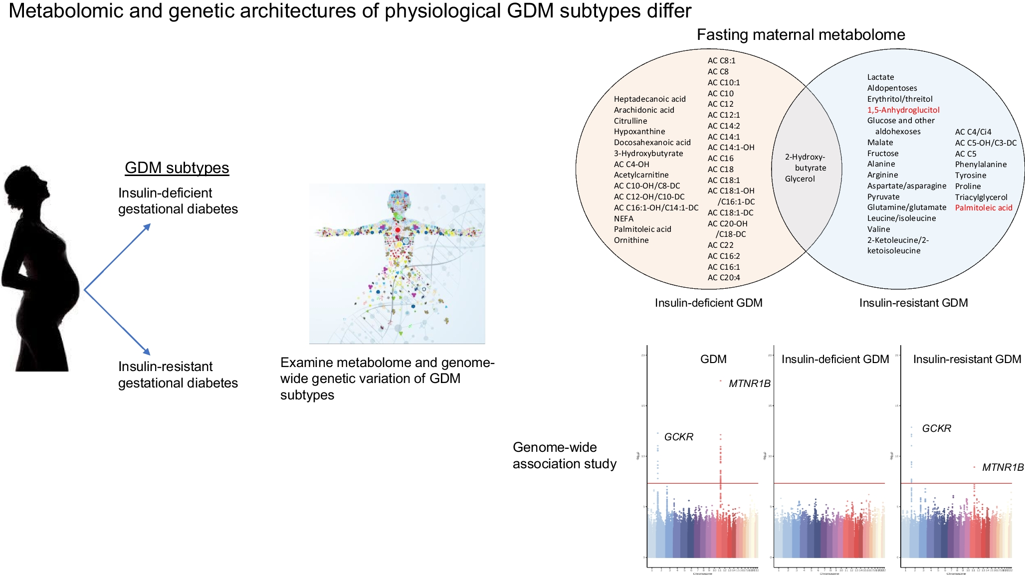 Metabolomic and genetic architecture of gestational diabetes subtypes