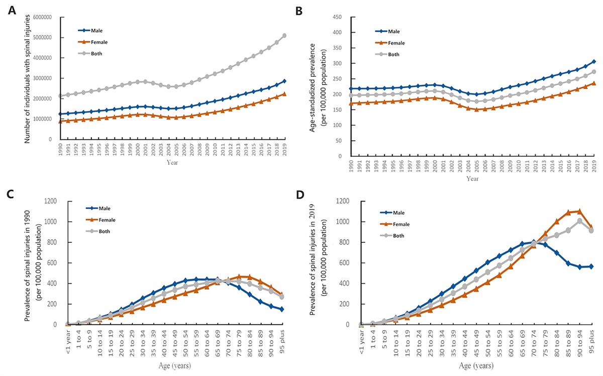 Incidence, prevalence, and causes of spinal injuries in China, 1990–2019: Findings from the Global Burden of Disease Study 2019
