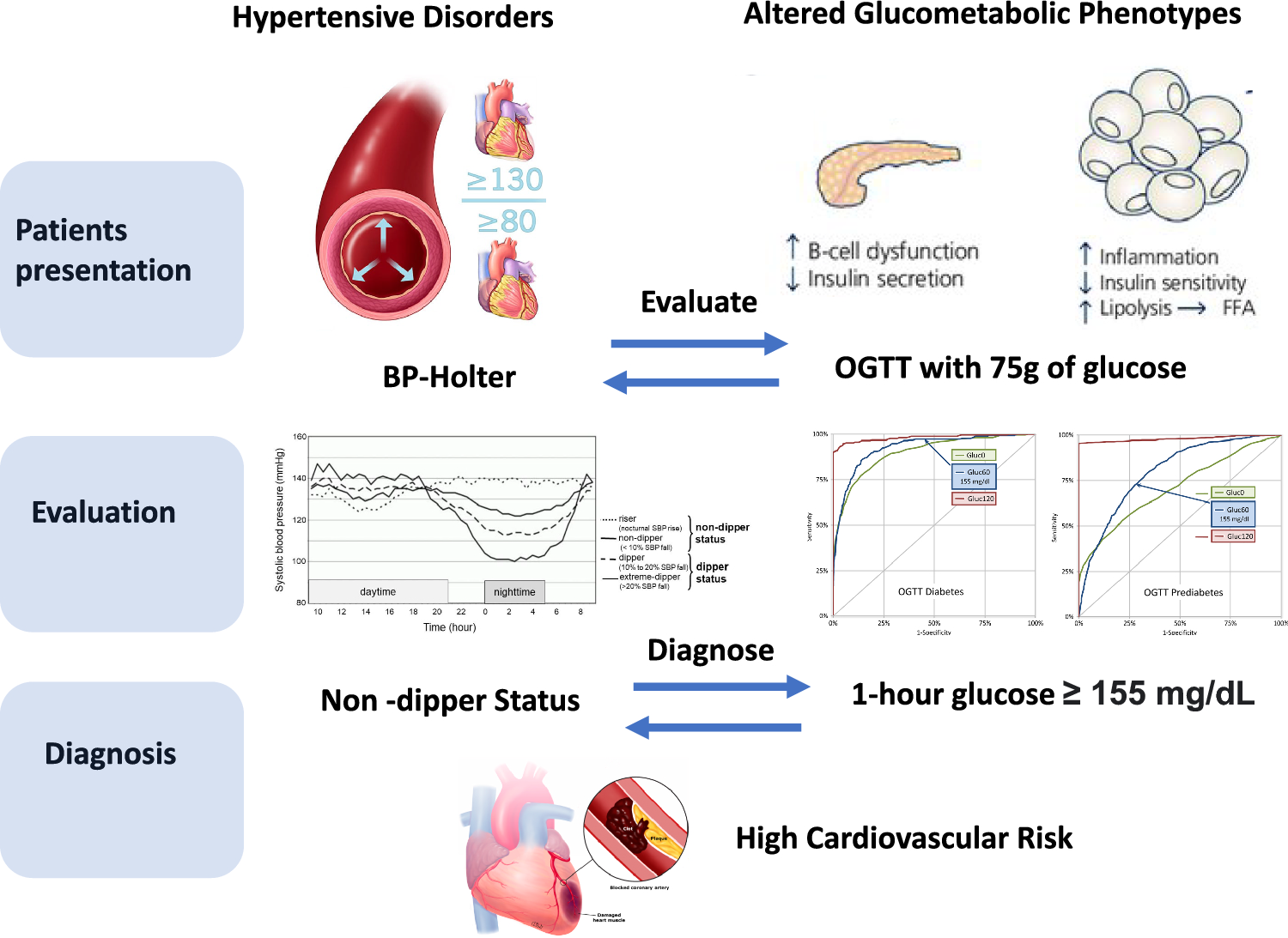 Non-dipper blood pressure pattern and glycemic alterations: does post-prandial glucose rise predict lack of nocturnal pressure drop?