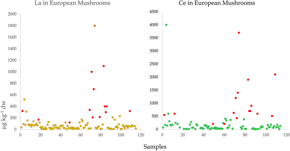 Rare earth contamination of edible vegetation: Ce, La, and summed REE in fungi