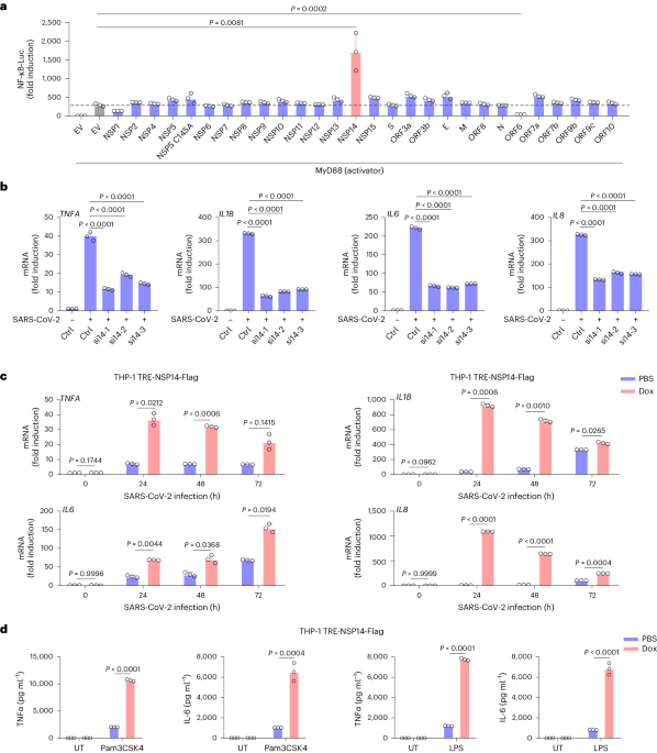ACE2-dependent and -independent SARS-CoV-2 entries dictate viral replication and inflammatory response during infection