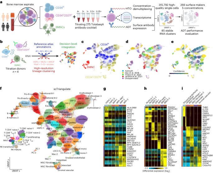 An immunophenotype-coupled transcriptomic atlas of human hematopoietic progenitors