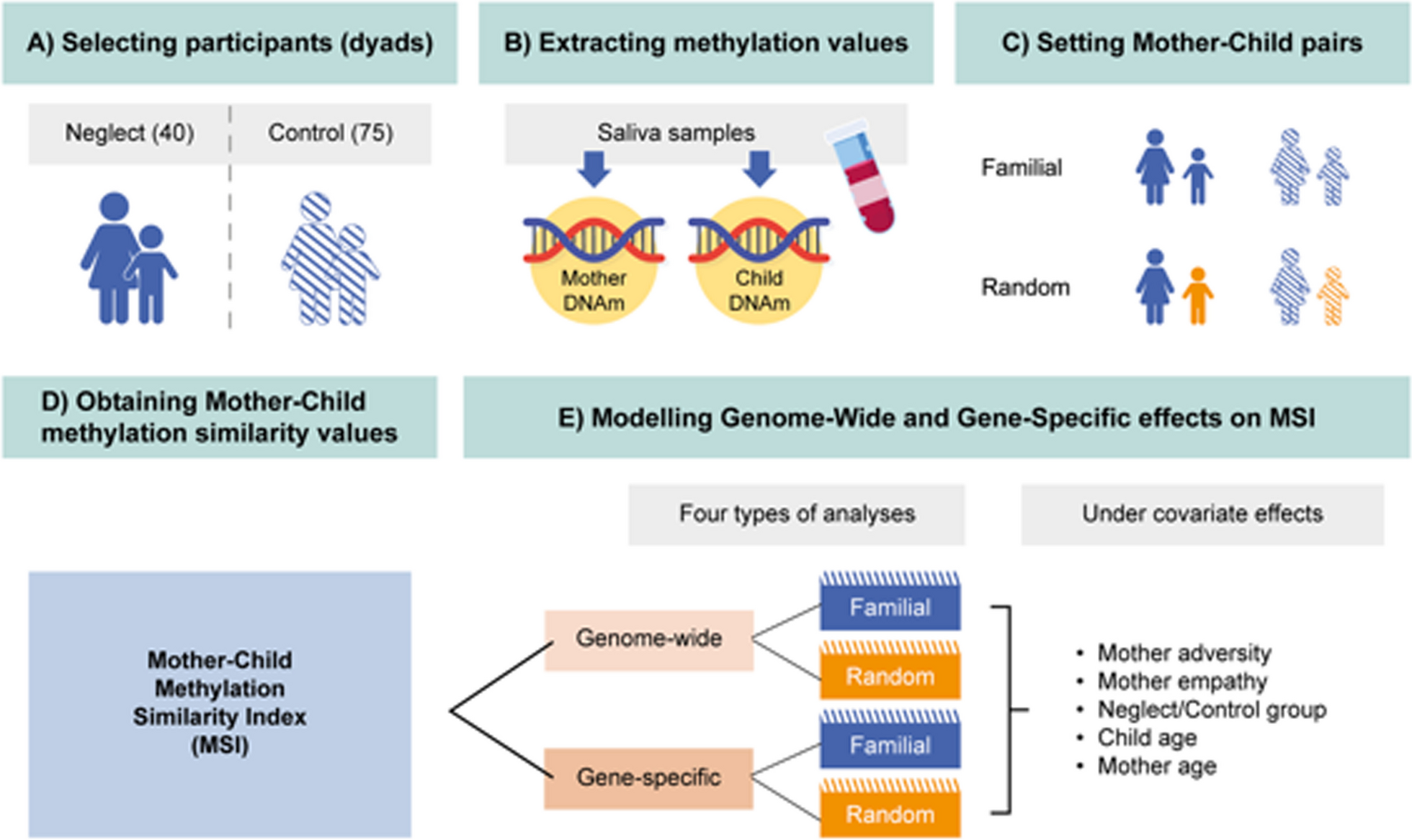 Mother adversity and co-residence time impact mother–child similarity in genome-wide and gene-specific methylation profiles