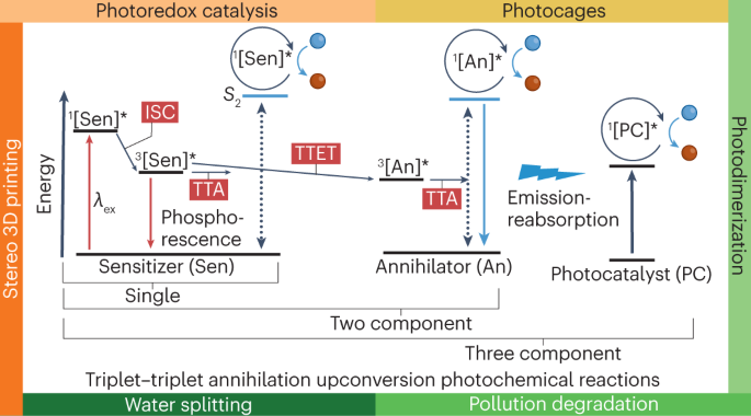 Triplet–triplet annihilation photon upconversion-mediated photochemical reactions