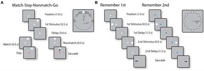 Contributions of narrow- and broad-spiking prefrontal and parietal neurons on working memory tasks