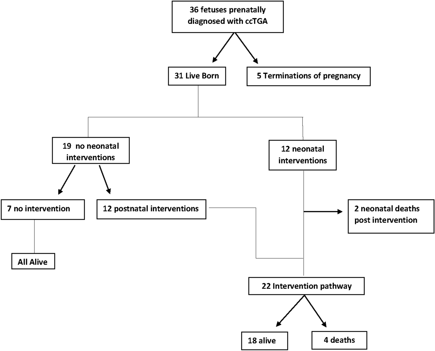 Congenitally Corrected Transposition of the Great Arteries in Utero: Morphological Spectrum, Outcomes and Pitfalls in Fetal Diagnosis
