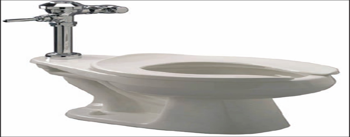 The Occupational and Environmental Hazards of Uncovered Toilets