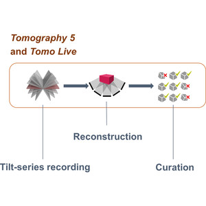 Tomo Live: an on-the-fly reconstruction pipeline to judge data quality for cryo-electron tomography workflows
