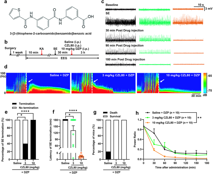 Small-molecule caspase-1 inhibitor CZL80 terminates refractory status epilepticus via inhibition of glutamatergic transmission