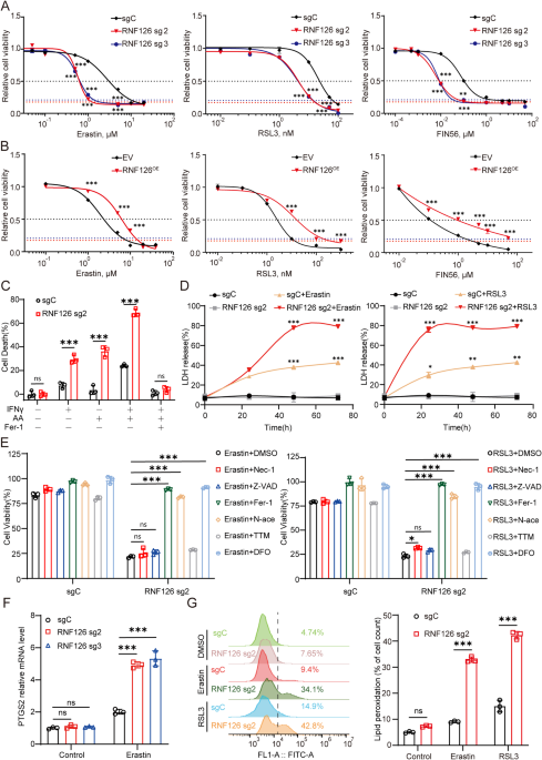 RNF126-mediated ubiquitination of FSP1 affects its subcellular localization and ferroptosis