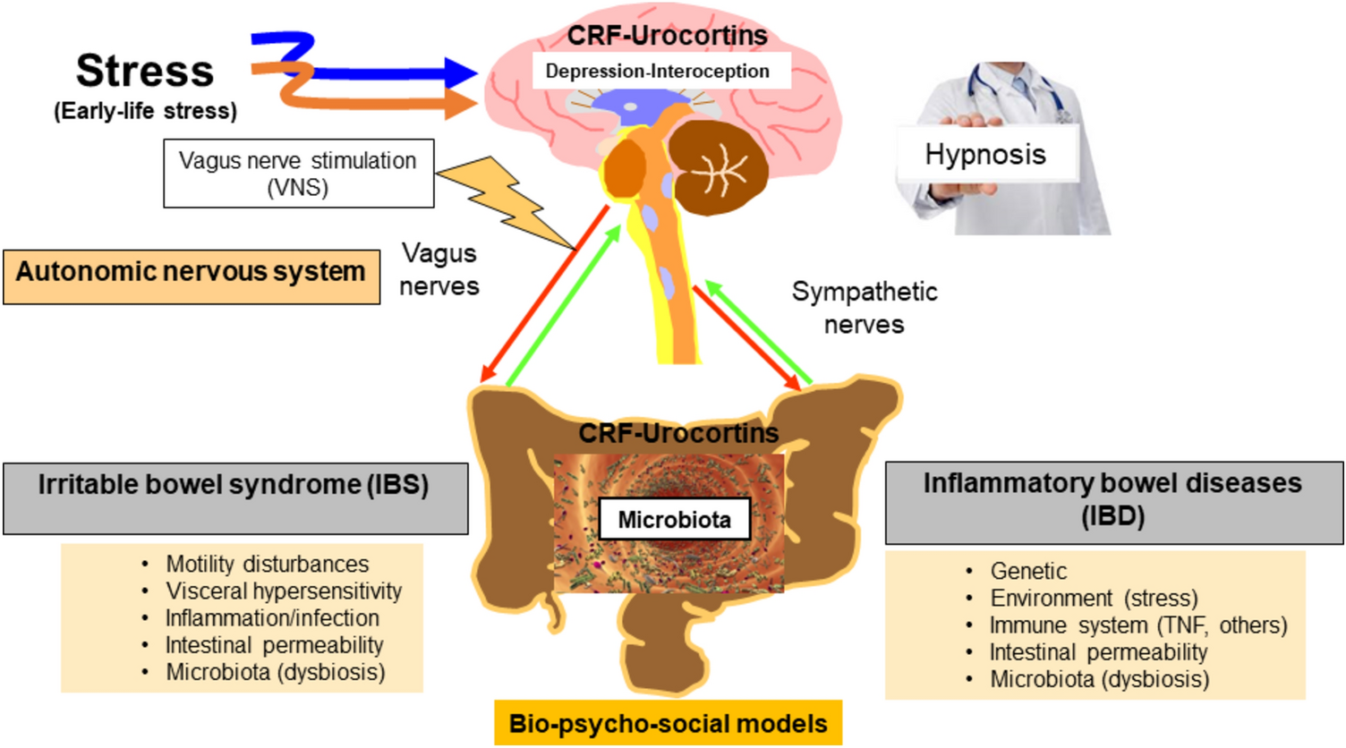 Unmet needs of drugs for irritable bowel syndrome and inflammatory bowel diseases: interest of vagus nerve stimulation and hypnosis