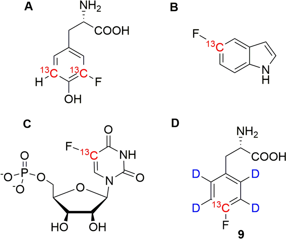 Decorating phenylalanine side-chains with triple labeled 13C/19F/2H isotope patterns