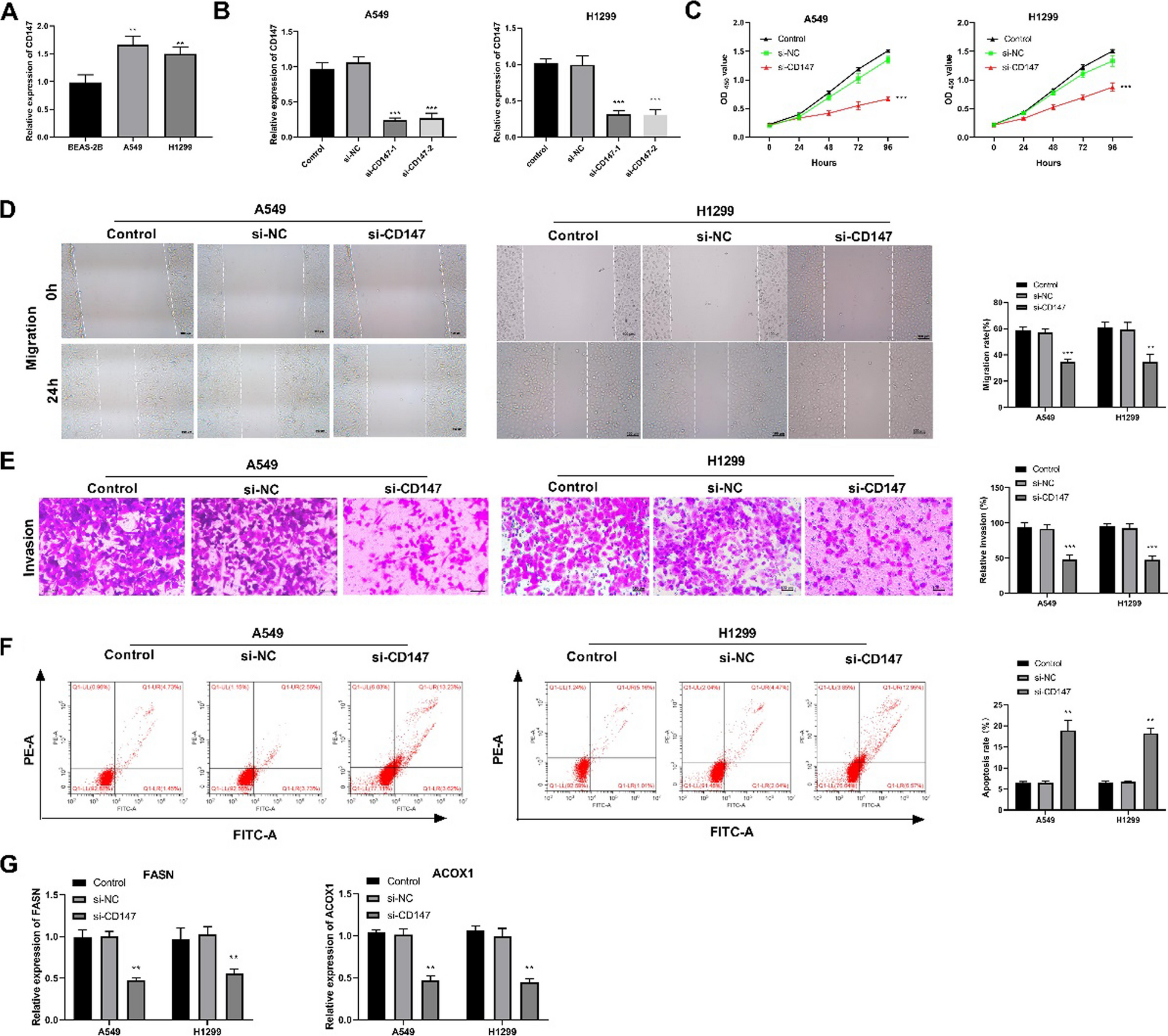 Correction: Silencing of CD147 inhibits cell proliferation, migration, invasion, lipid metabolism dysregulation and promotes apoptosis in lung adenocarcinoma via blocking the Rap1 signaling pathway