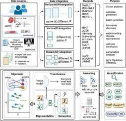 A Commentary on Multi-omics Data Integration in Systems Vaccinology