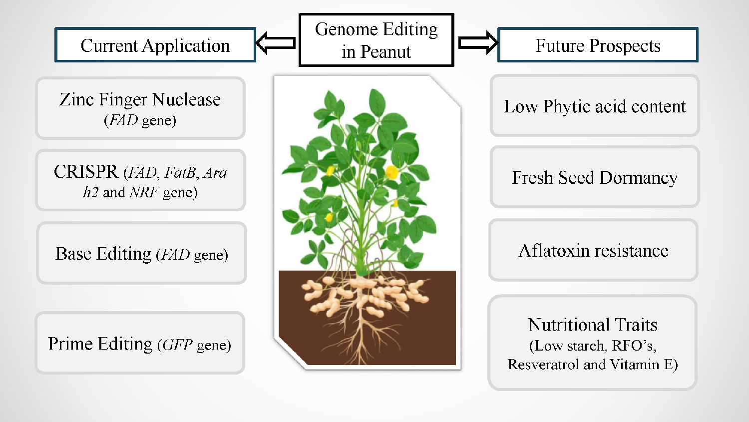Genome editing in peanuts: advancements, challenges and applications