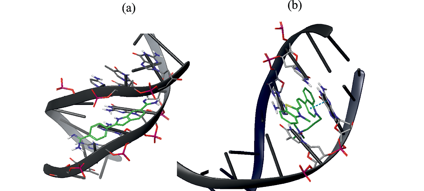Docking and Molecular Dynamics Studies on DNA-Heterocyclic Enediynes Interaction to Identify the Preferred Binding Mode