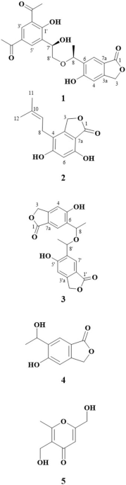 Three new phthalide derivatives from culture broth of Dentipellis fragilis and their cytotoxic activities