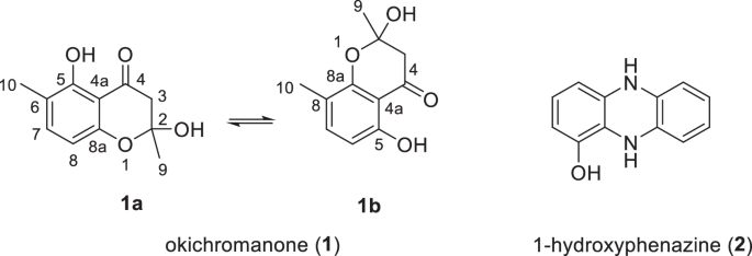 Okichromanone, a new antiviral chromanone from a marine-derived Microbispora