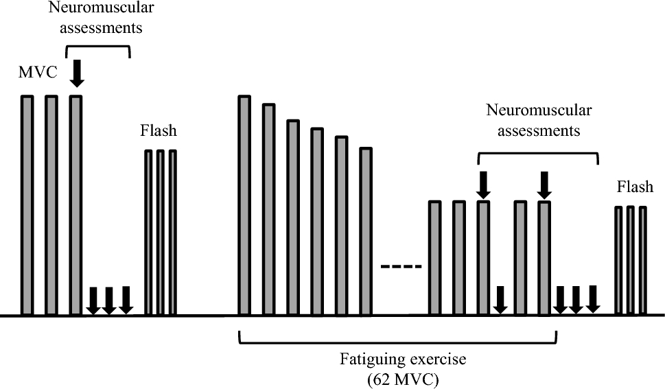Comparison of neuromuscular fatigability amplitude and etiologies between fatigued and non-fatigued cancer patients