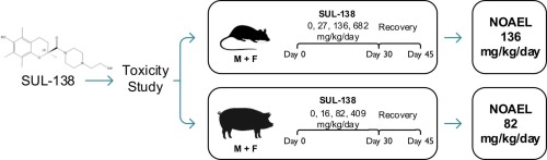 Safety, tolerability and toxicokinetics of the novel mitochondrial drug SUL-138 administered orally to rat and minipig