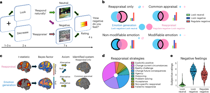 A systems identification approach using Bayes factors to deconstruct the brain bases of emotion regulation