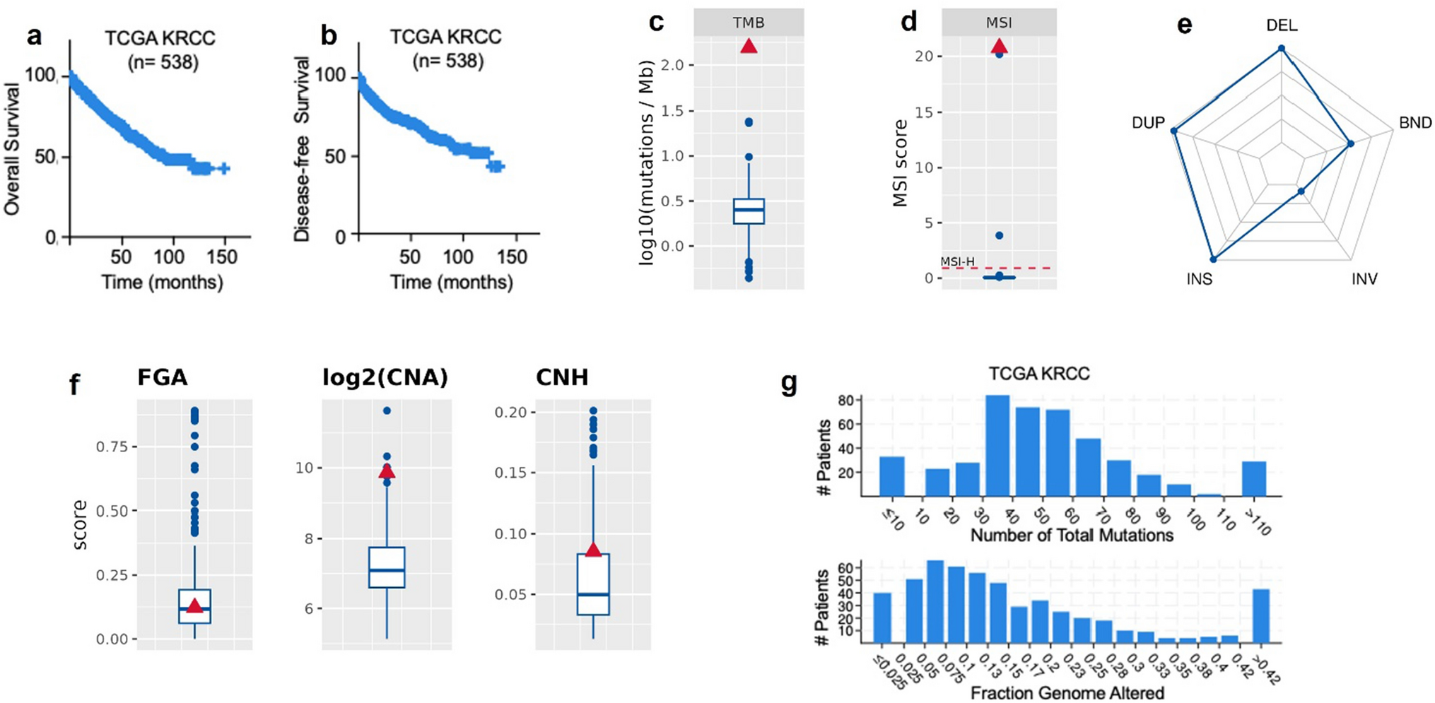 Genetically driven predisposition leads to an unusually genomic unstable renal cell carcinoma