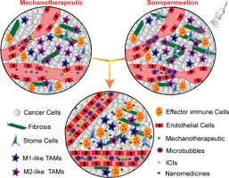 A synergistic approach for modulating the tumor microenvironment to enhance nano-immunotherapy in sarcomas