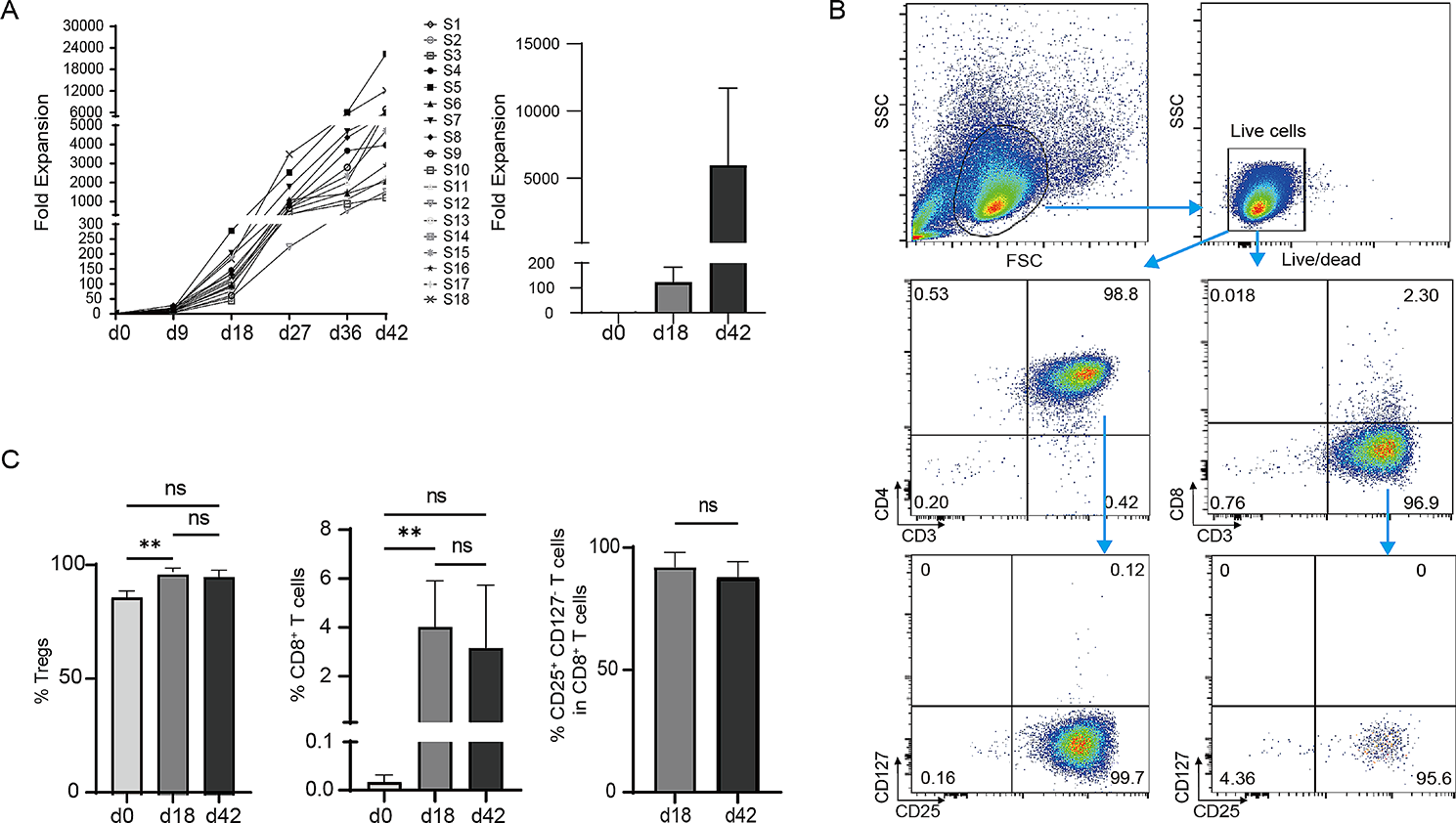 Multiply restimulated human cord blood-derived Tregs maintain stabilized phenotype and suppressive function and predict their therapeutic effects on autoimmune diabetes