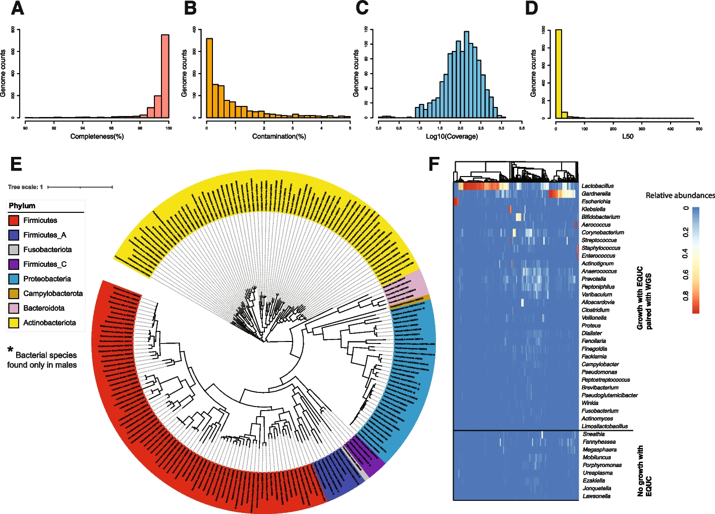 Cataloging the phylogenetic diversity of human bladder bacterial isolates