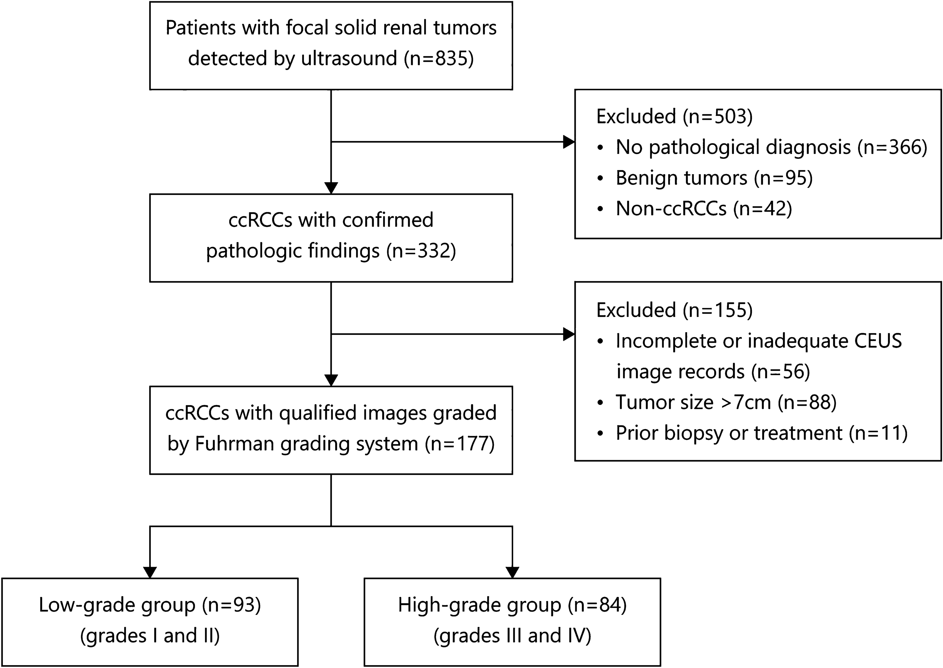 Deep learning using contrast-enhanced ultrasound images to predict the nuclear grade of clear cell renal cell carcinoma
