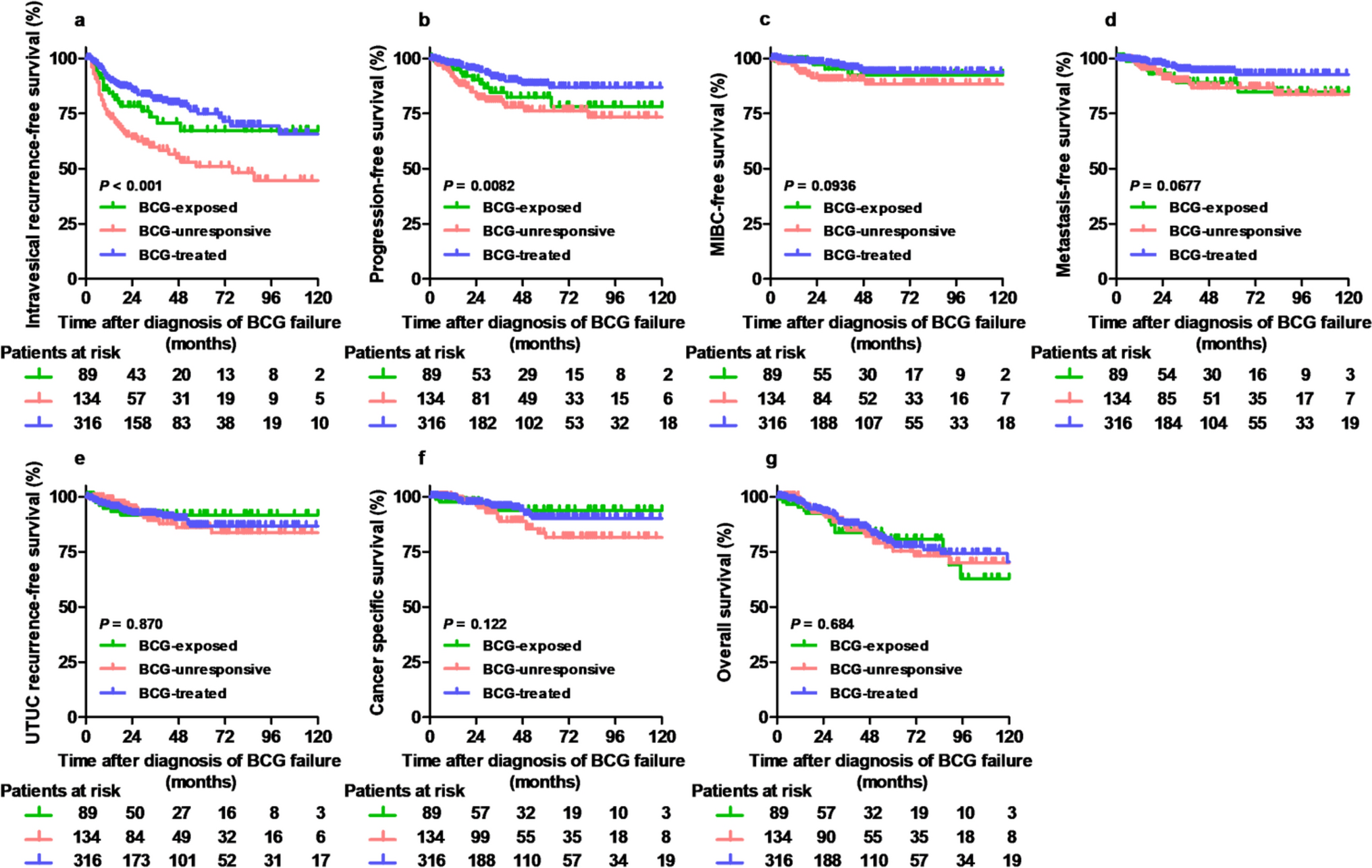 Treatment patterns and prognosis in patients with Bacillus Calmette–Guérin-exposed high-risk non-muscle invasive bladder cancer: a real-world data analysis