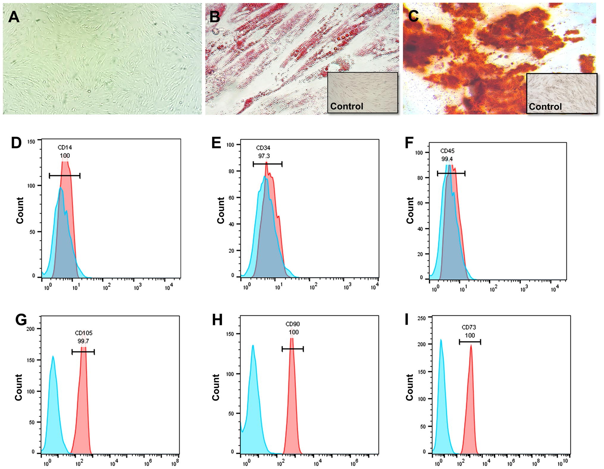 Synergistic effects of mesenchymal stem cell-derived extracellular vesicles and dexamethasone on macrophage polarization under inflammatory conditions