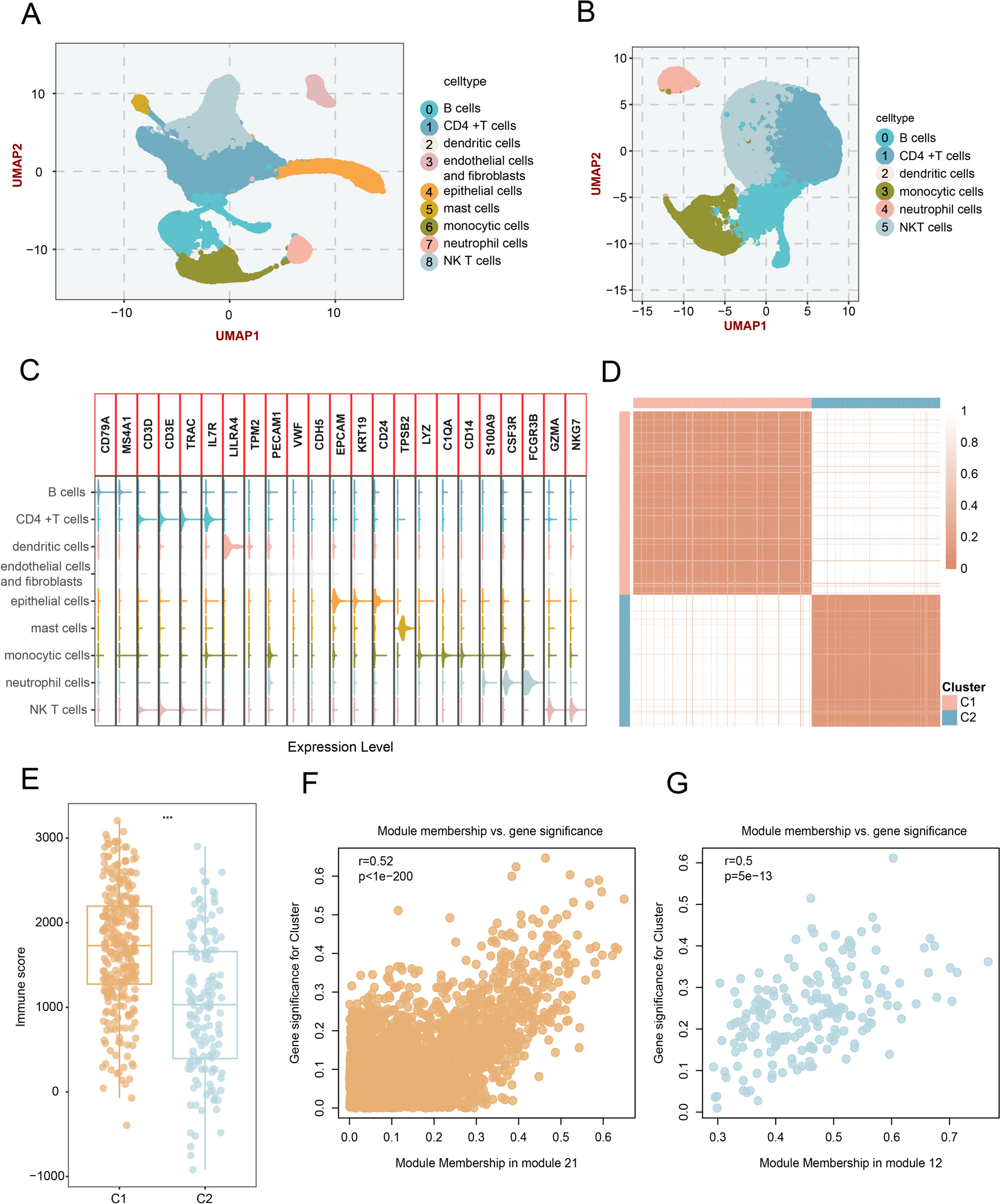 Single-cell RNA sequencing integrated with bulk RNA sequencing analysis identifies a tumor immune microenvironment-related lncRNA signature in lung adenocarcinoma