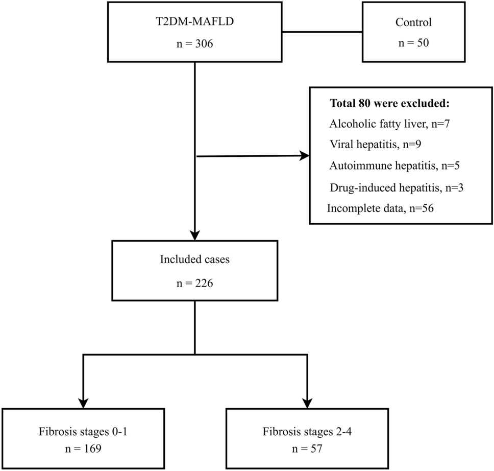 Association between chitinase-3-like protein 1 and metabolic-associated fatty liver disease in patients with type 2 diabetes mellitus