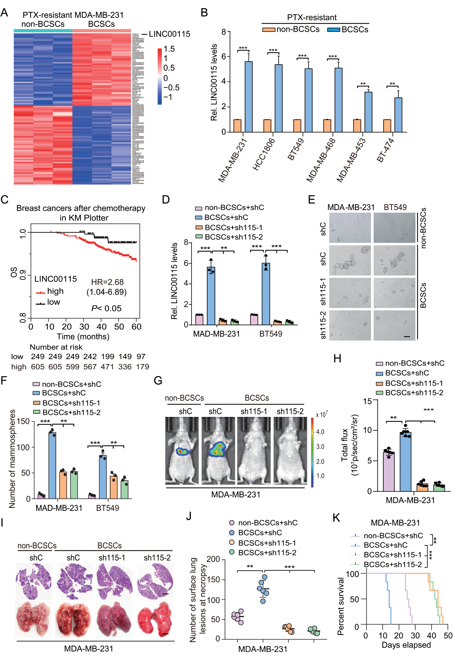 LINC00115 promotes chemoresistant breast cancer stem-like cell stemness and metastasis through SETDB1/PLK3/HIF1α signaling