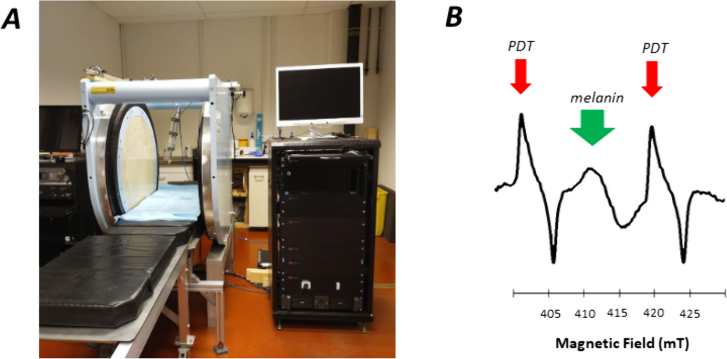Highly Sensitive Detection of Melanin in Melanomas Using Multi-harmonic Low Frequency EPR