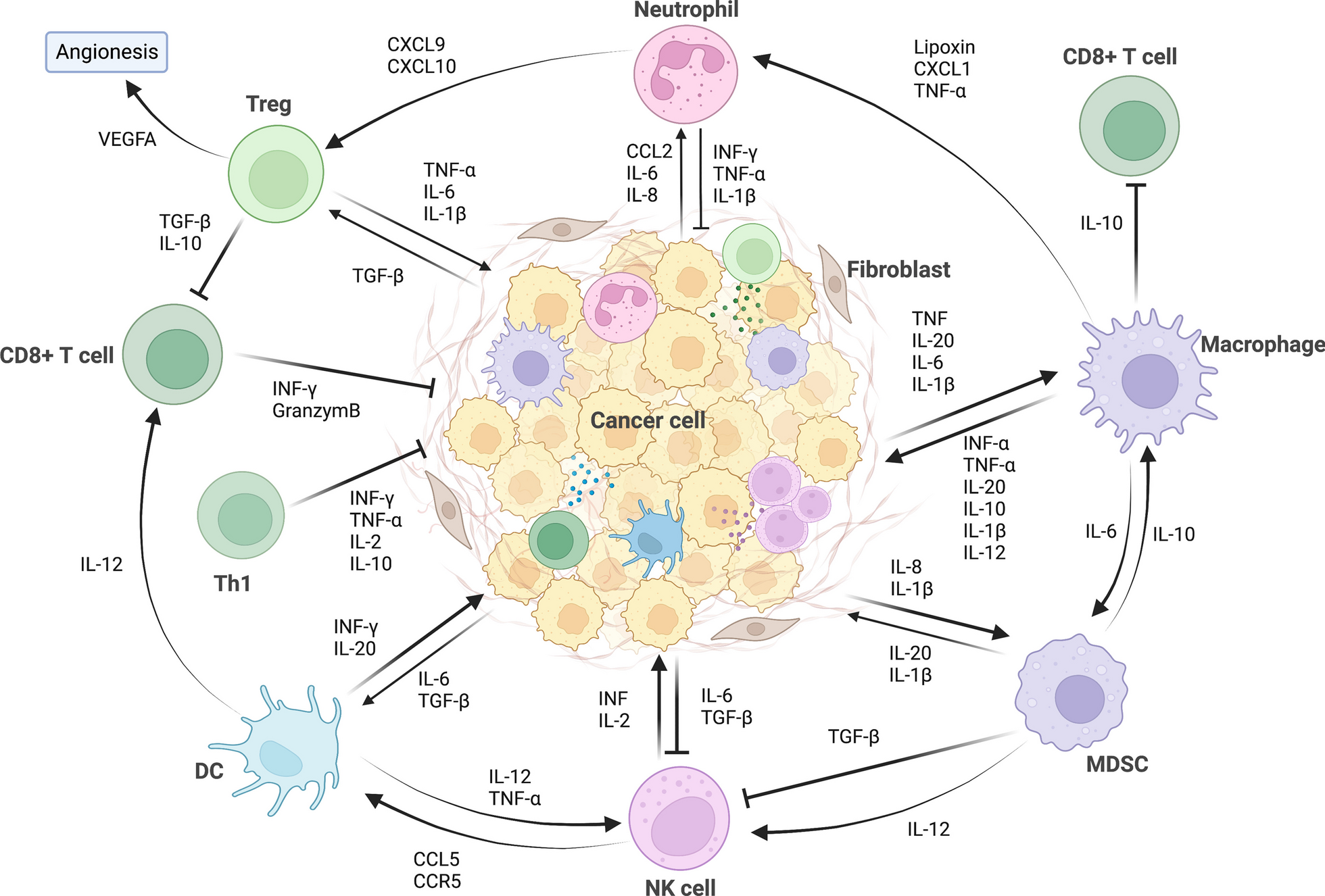Targeting inflammation as cancer therapy
