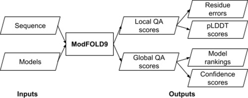 ModFOLD9: A Web Server for Independent Estimates of 3D Protein Model Quality