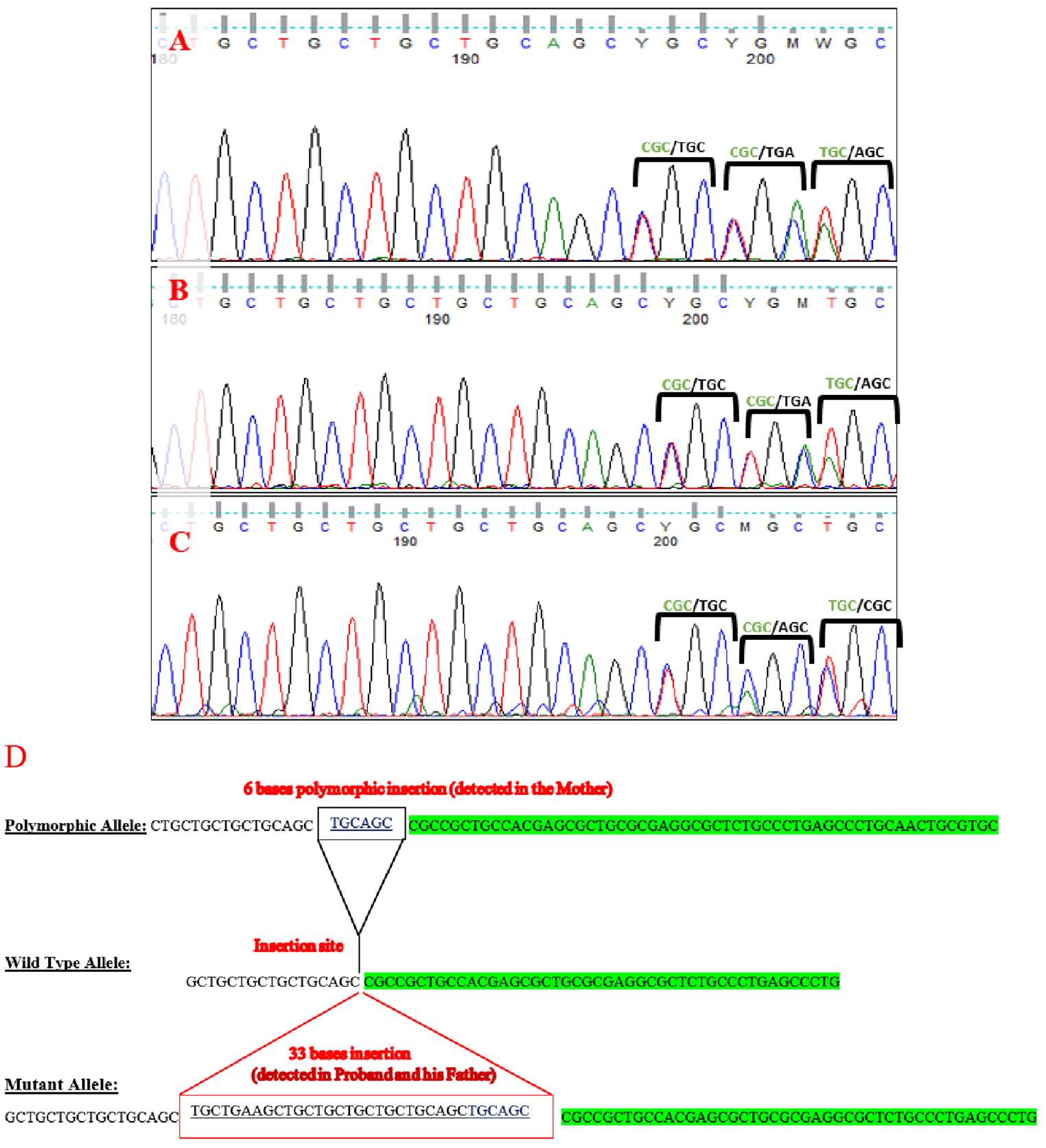 Expanding the phenotypic spectrum of LHCGR signal peptide insertion variant: novel clinical and allelic findings causing Leydig cell hypoplasia type II
