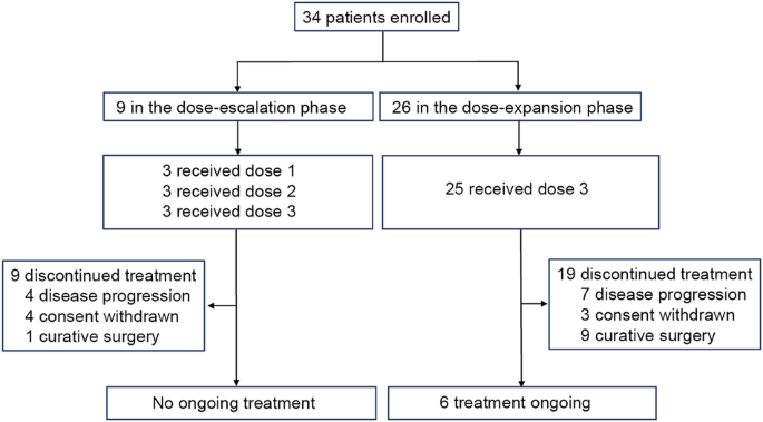 First-line camrelizumab (a PD-1 inhibitor) plus apatinib (an VEGFR-2 inhibitor) and chemotherapy for advanced gastric cancer (SPACE): a phase 1 study