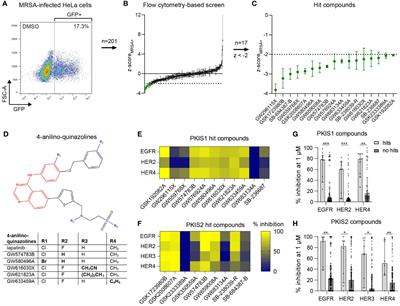 Identification of kinase modulators as host-directed therapeutics against intracellular methicillin-resistant Staphylococcus aureus