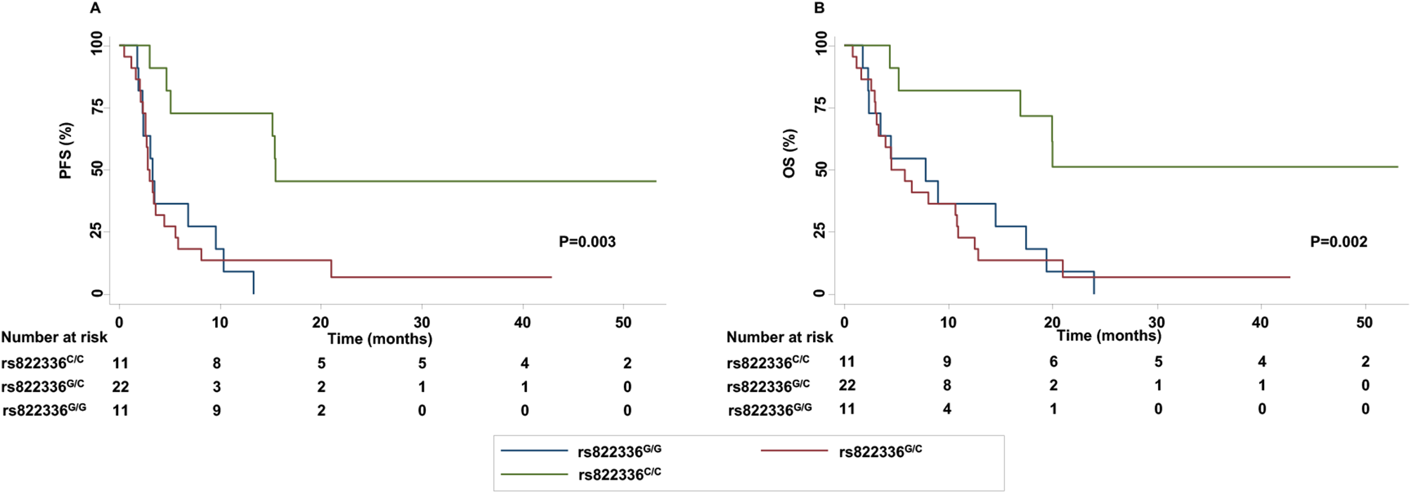 rs822336 binding to C/EBPβ and NFIC modulates induction of PD-L1 expression and predicts anti-PD-1/PD-L1 therapy in advanced NSCLC