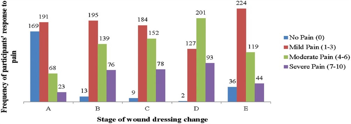 Assessment of Wound-Related Pain Experiences of Patients With Chronic Wounds: A Multicenter Cross-Sectional Study in Eastern China