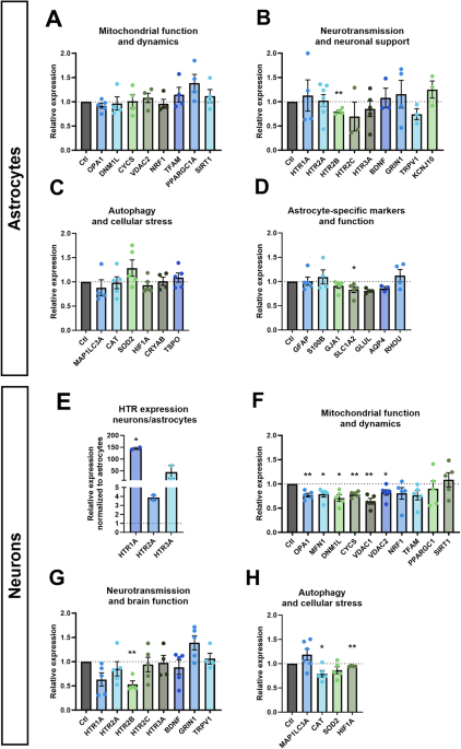 Serotonin effects on human iPSC-derived neural cell functions: from mitochondria to depression