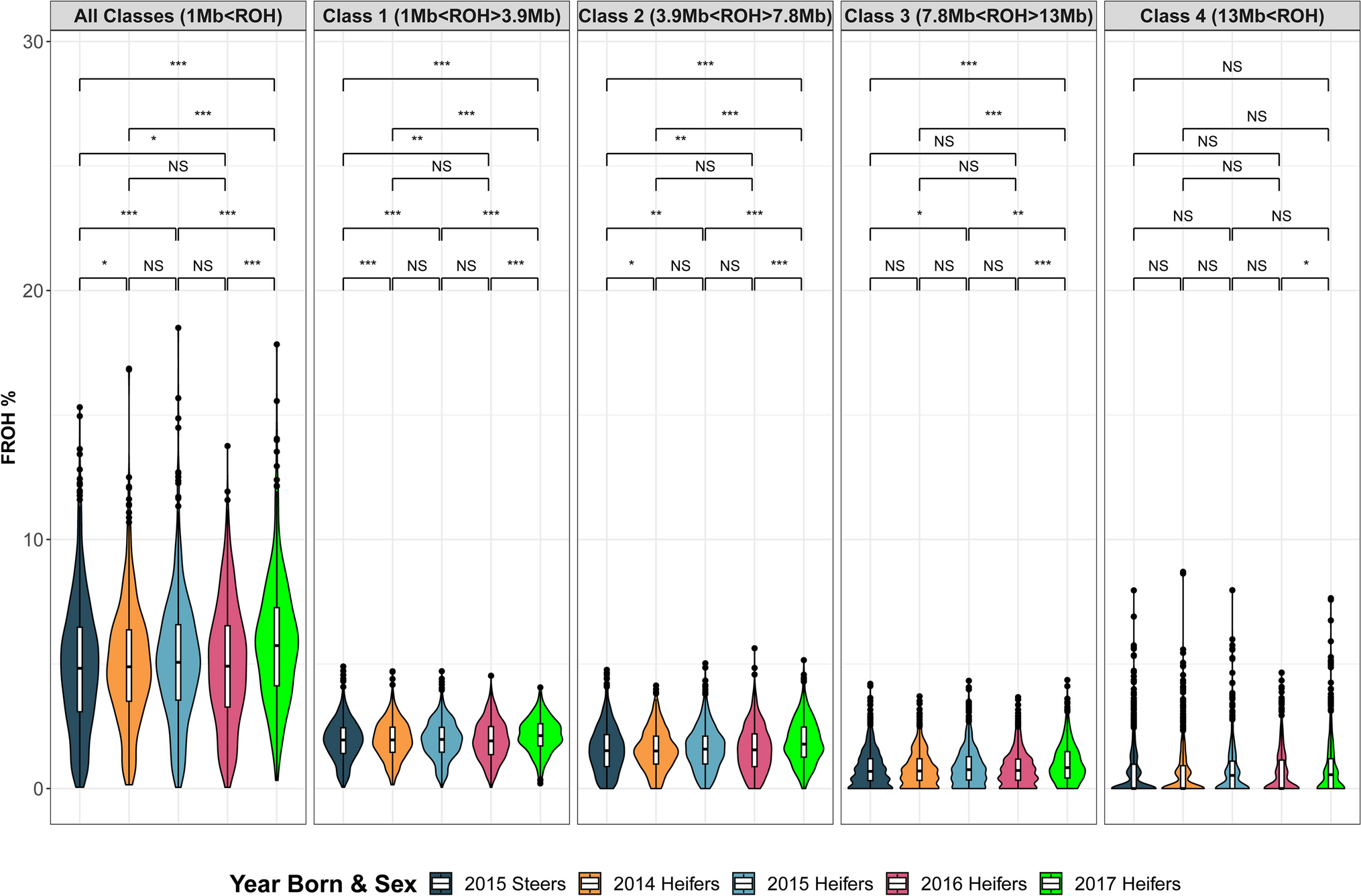 Exploring genomic inbreeding and selection signatures in a commercial Brangus herd through functional annotation