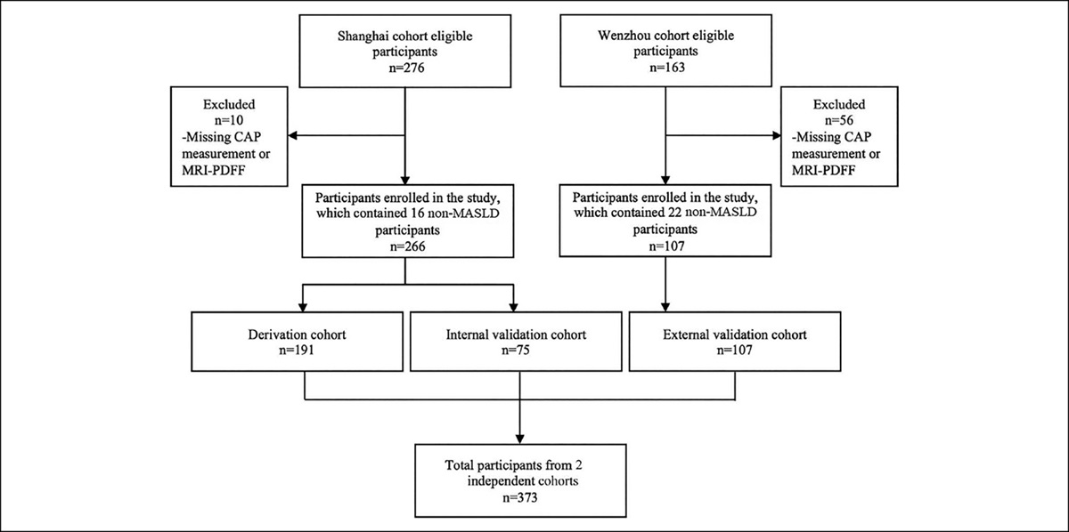 A Novel Score Based on Controlled Attenuation Parameter Accurately Predicts Hepatic Steatosis in Individuals With Metabolic Dysfunction Associated Steatotic Liver Disease: A Derivation and Independent Validation Study