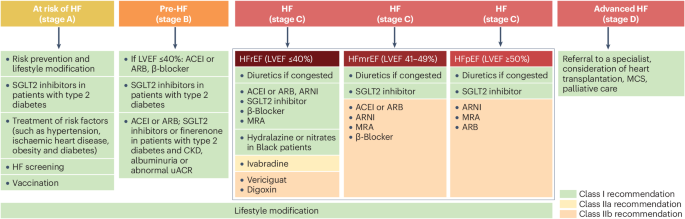 Contemporary pharmacological treatment and management of heart failure