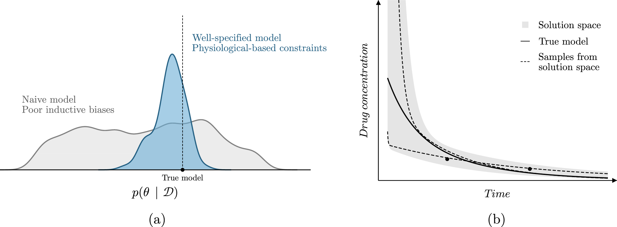 On inductive biases for the robust and interpretable prediction of drug concentrations using deep compartment models